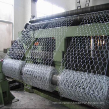 Galvanized Chicken Wire Mesh / Hexagonal Wire Mesh